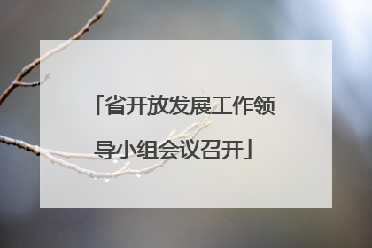 省开放发展工作领导小组会议召开